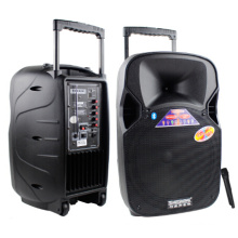 12 Zoll Portable Kunststoff Bluetooth Musik Lautsprecher mit UKW-Mikrofon F87